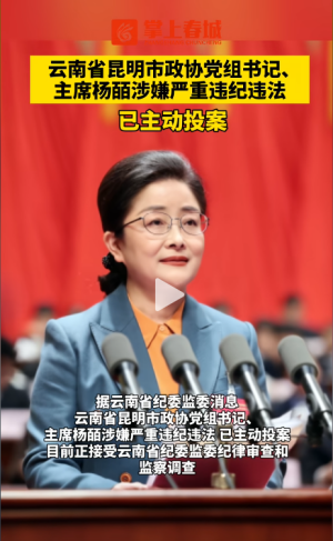 昆明市政协党组书记、主席杨皕，主动投案